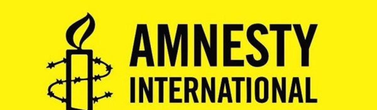 ’Souriez, vous êtes nudgé’, dans La Chronique d’Amnesty International 